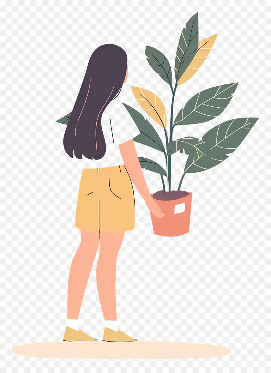 Fille Tenant Une Plante D'intérieur，Fille Avec Plante PNG