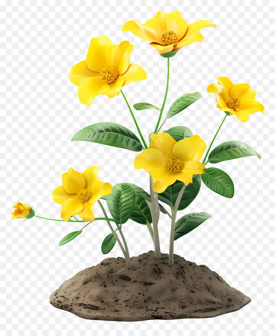 Fleurs Jaunes，Floraison PNG