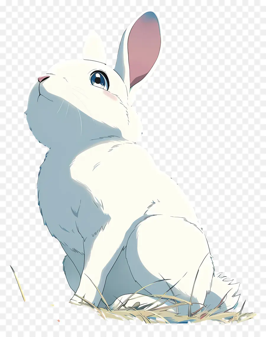 Lapin，Lapin Blanc PNG