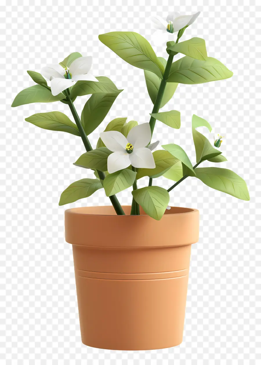 Plante Fleurie En Pot，Plante En Pot PNG