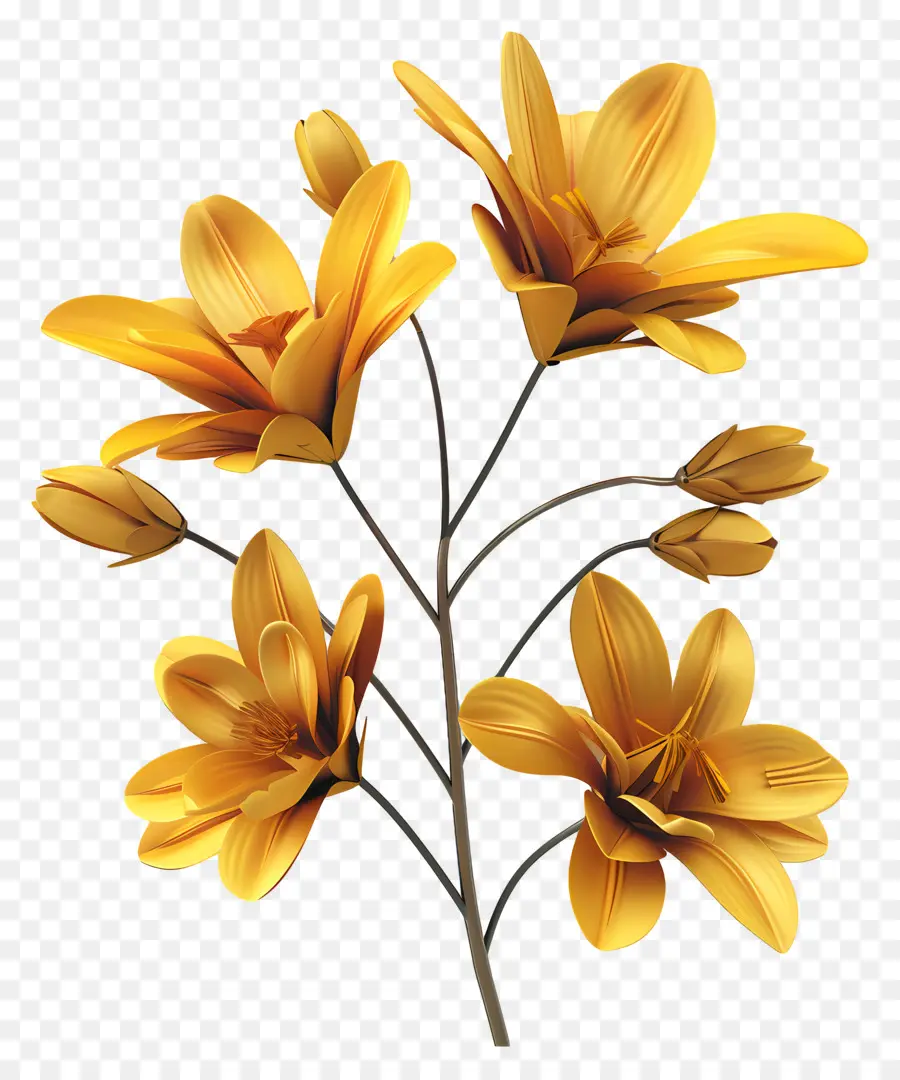 Fleurs De Safran，Fleurs PNG