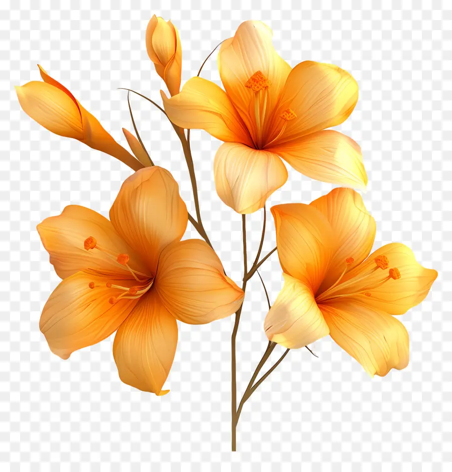 Fleurs De Safran，Fleurs PNG