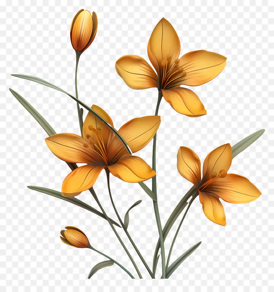 Fleurs De Safran，Fleurs PNG