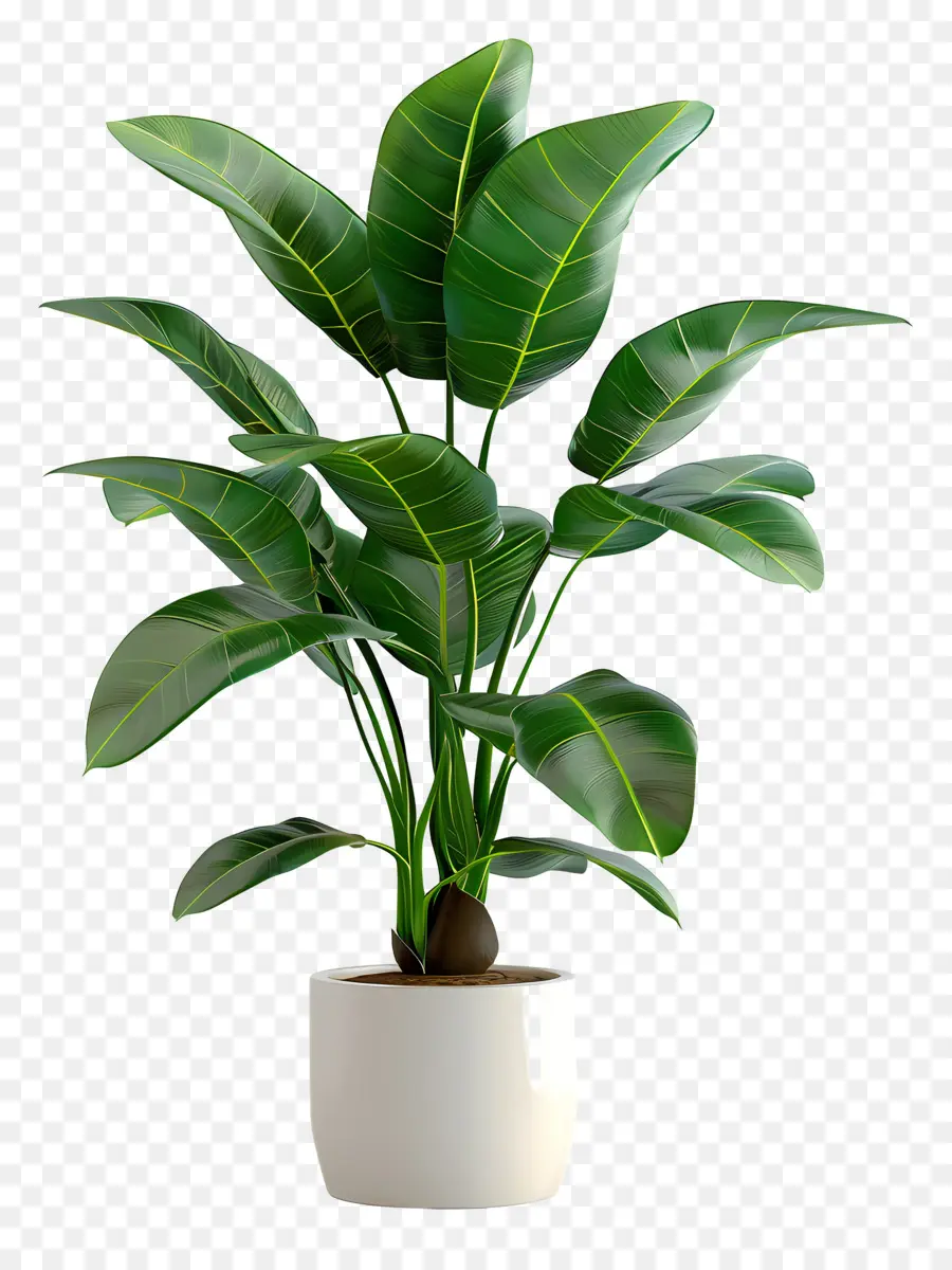 Plante Tropicale En Pot，Plante Verte En Pot PNG