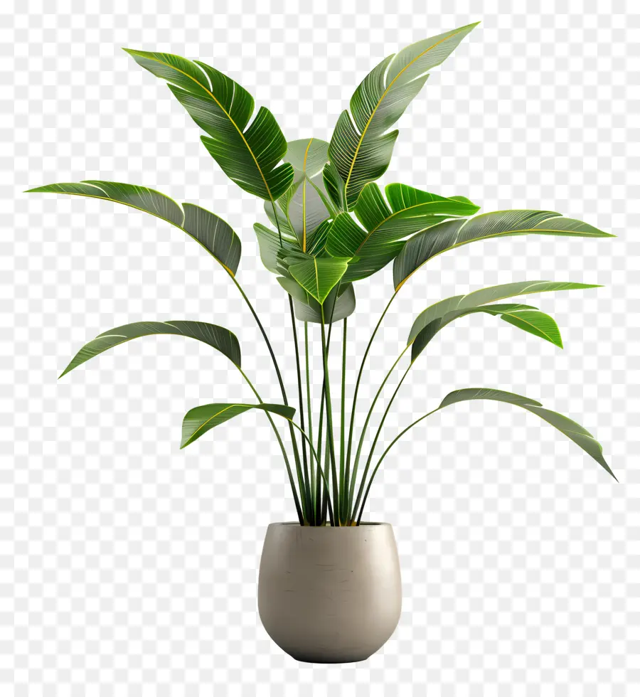 Plante Tropicale En Pot，Plante Verte En Pot PNG