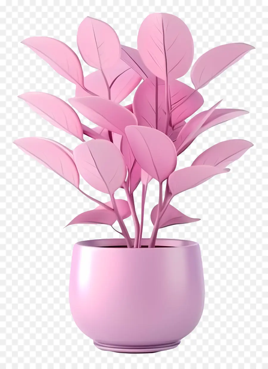 Plante En Pot，Feuilles PNG