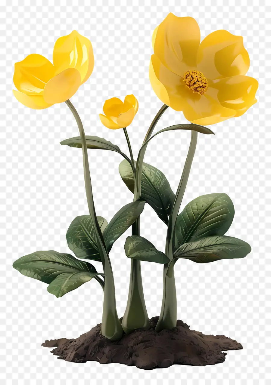 Fleurs Jaunes，Floraison PNG