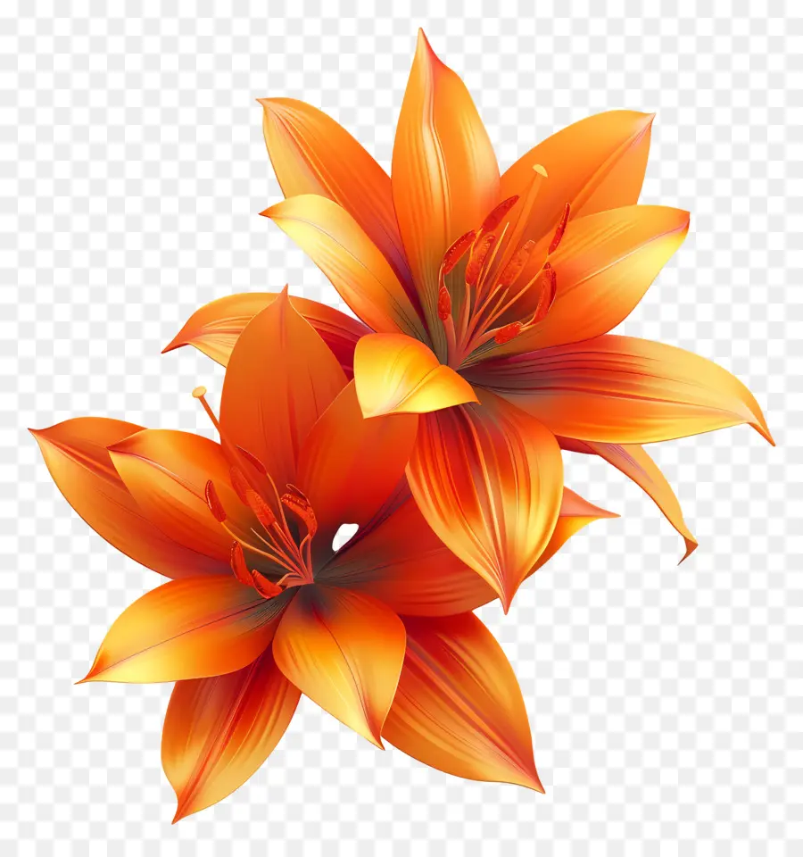 Fleurs De Safran，Fleurs Oranges PNG