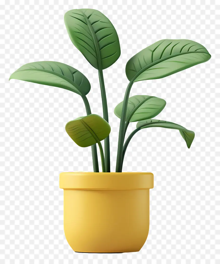 Plante En Pot，Plante Verte PNG