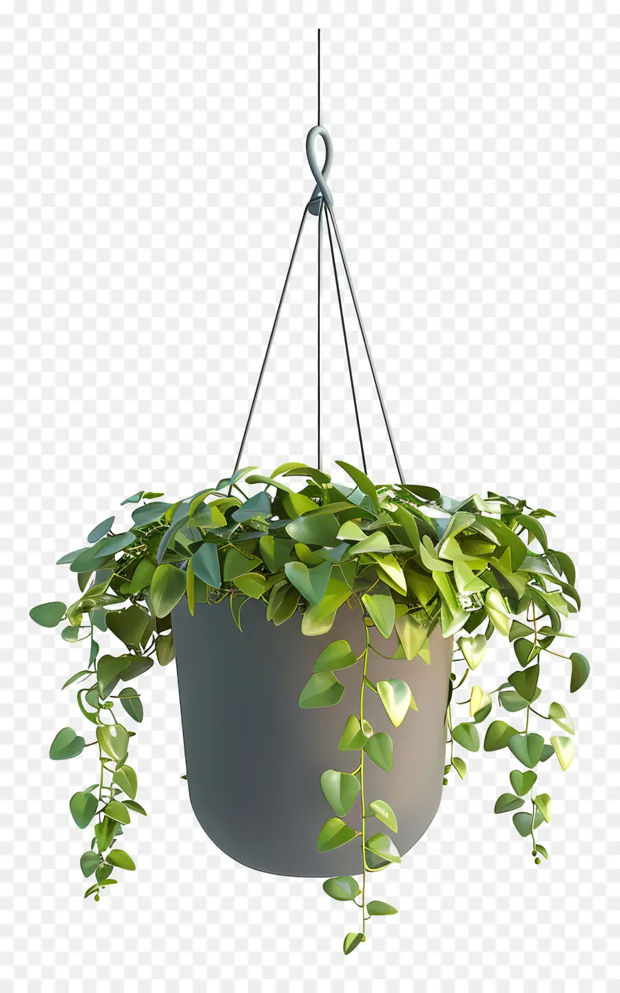 Plante Suspendue，Pot PNG