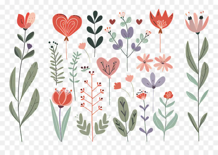 Fleurs Et Plantes，Illustrations Florales PNG