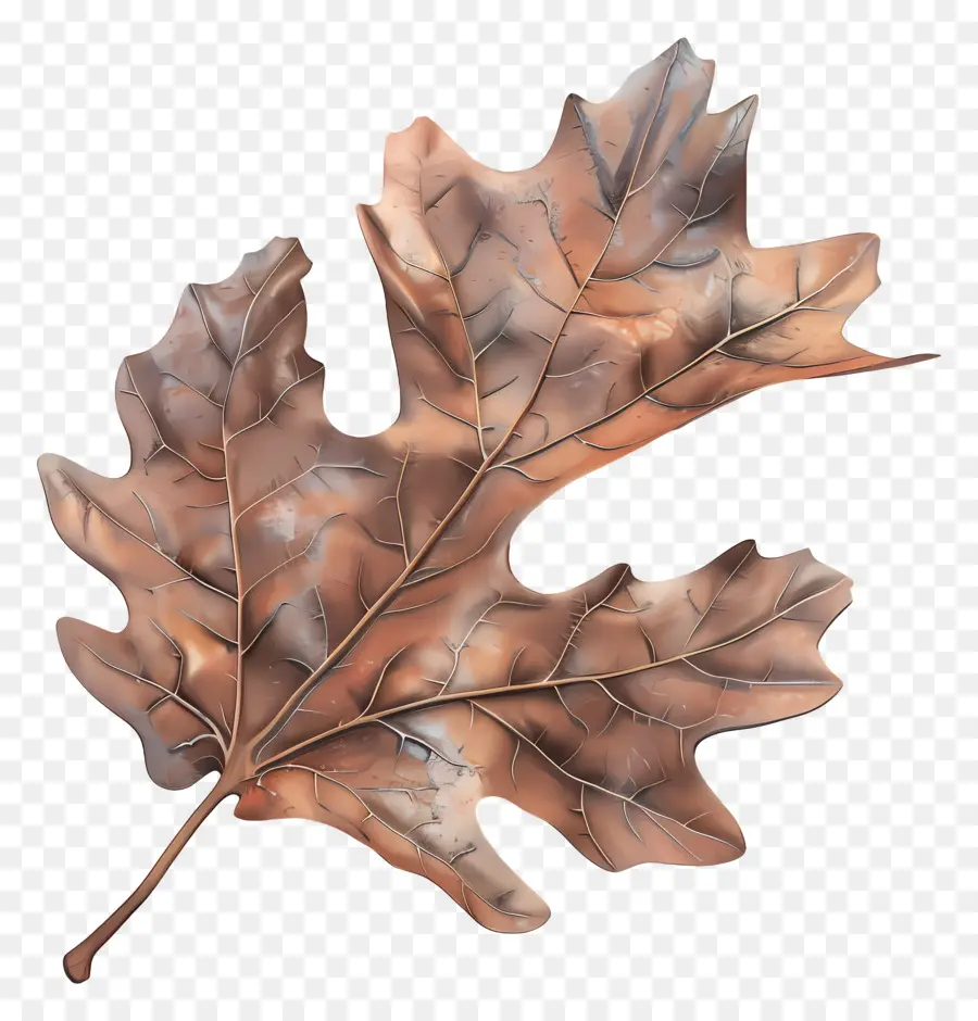 Feuille Morte，Feuille PNG