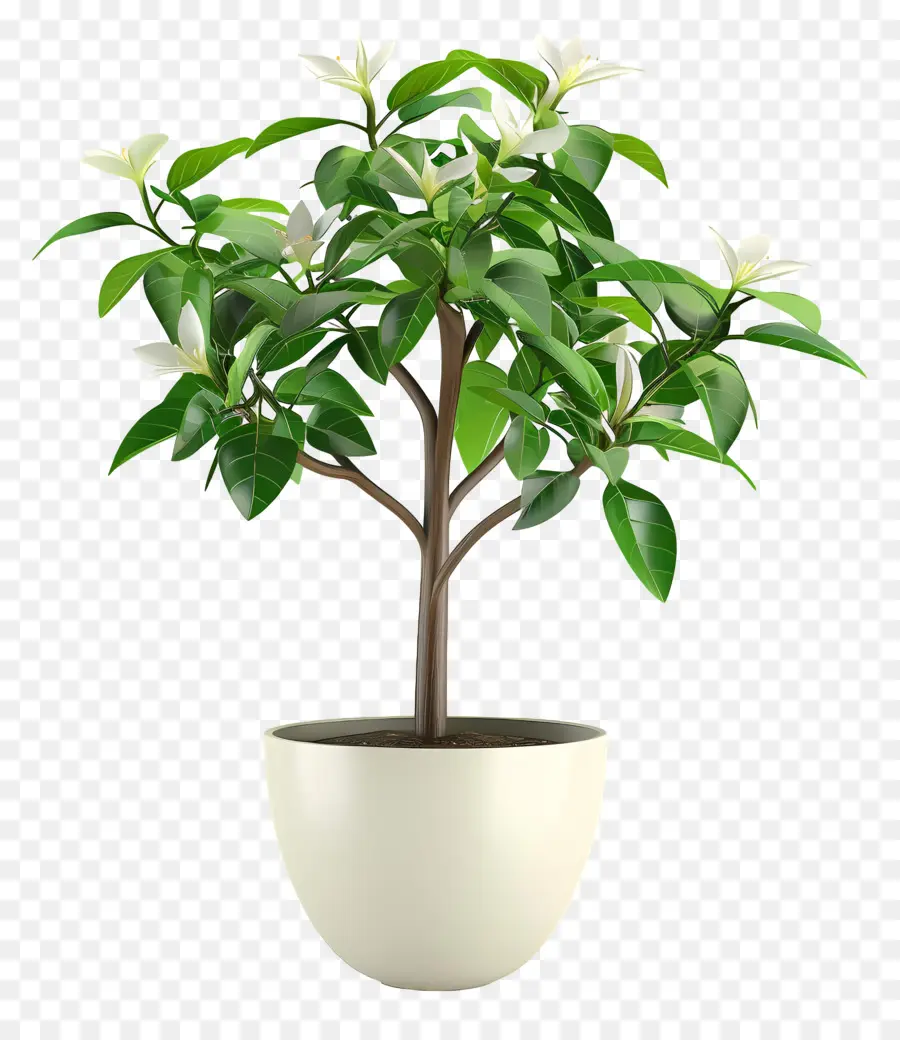 Plante Fleurie En Pot，Plante En Pot PNG