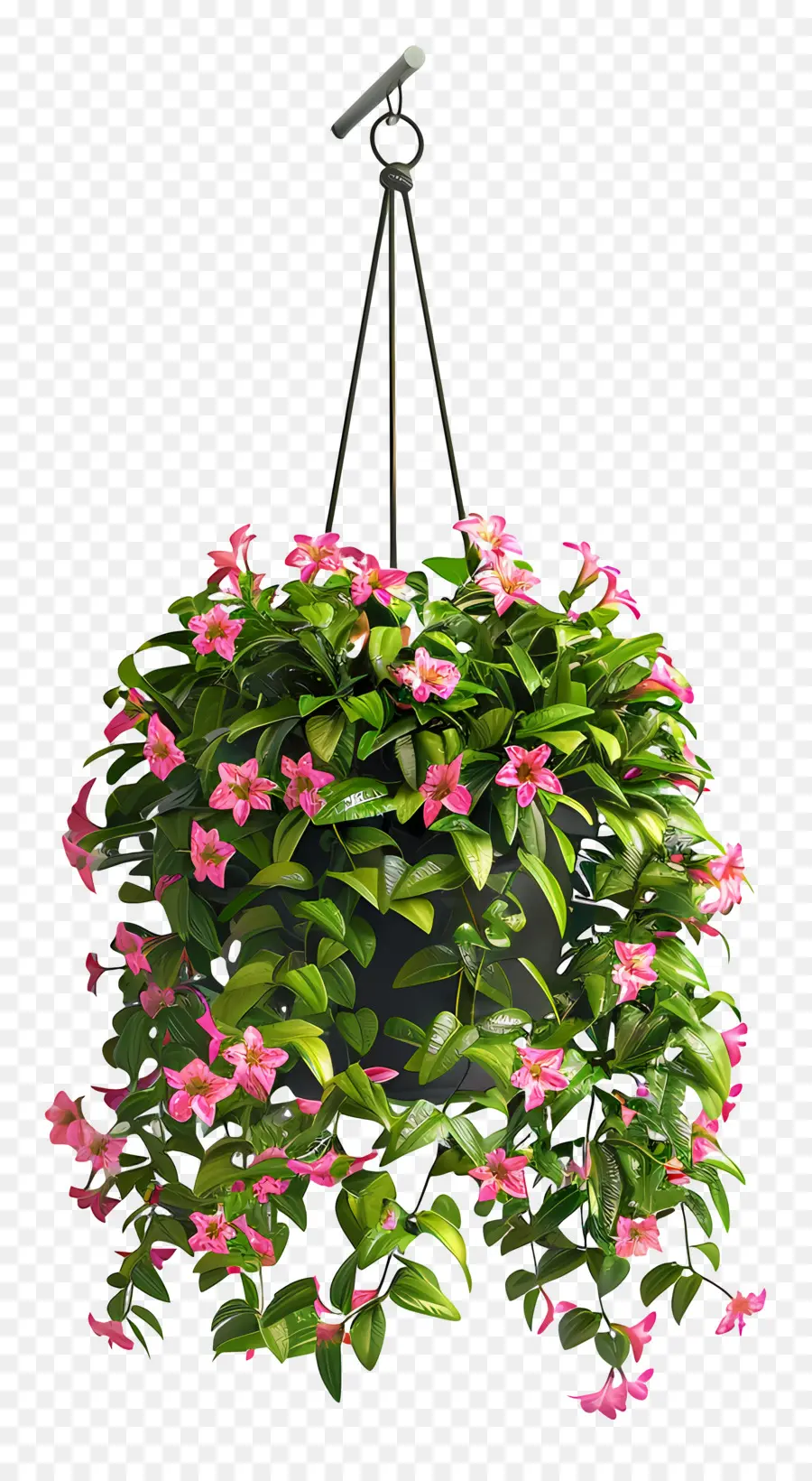 Plante à Fleurs Suspendue，Plante Suspendue PNG