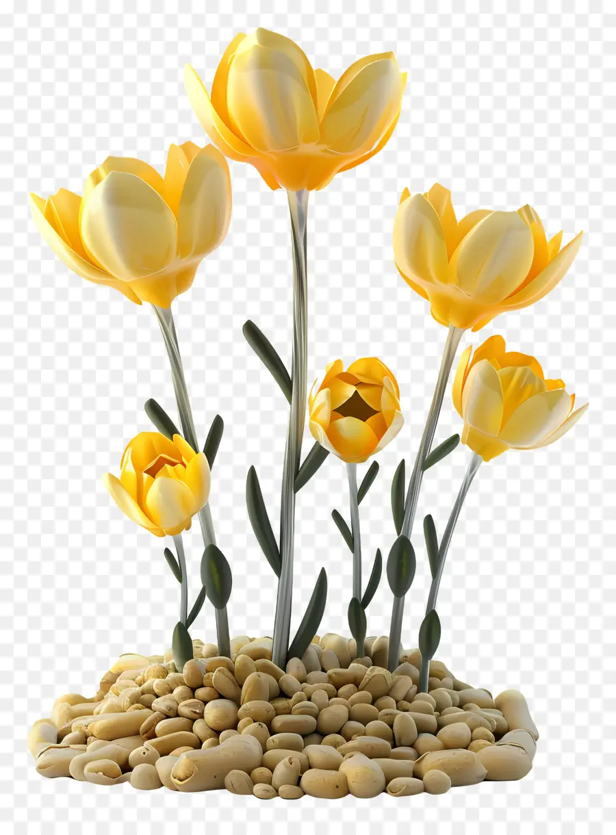 Fleurs Jaunes，Tulipes Jaunes PNG