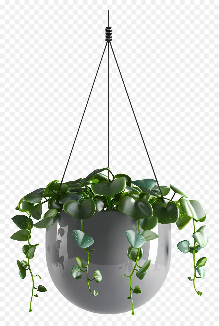 Plante Suspendue，Feuilles Vertes PNG