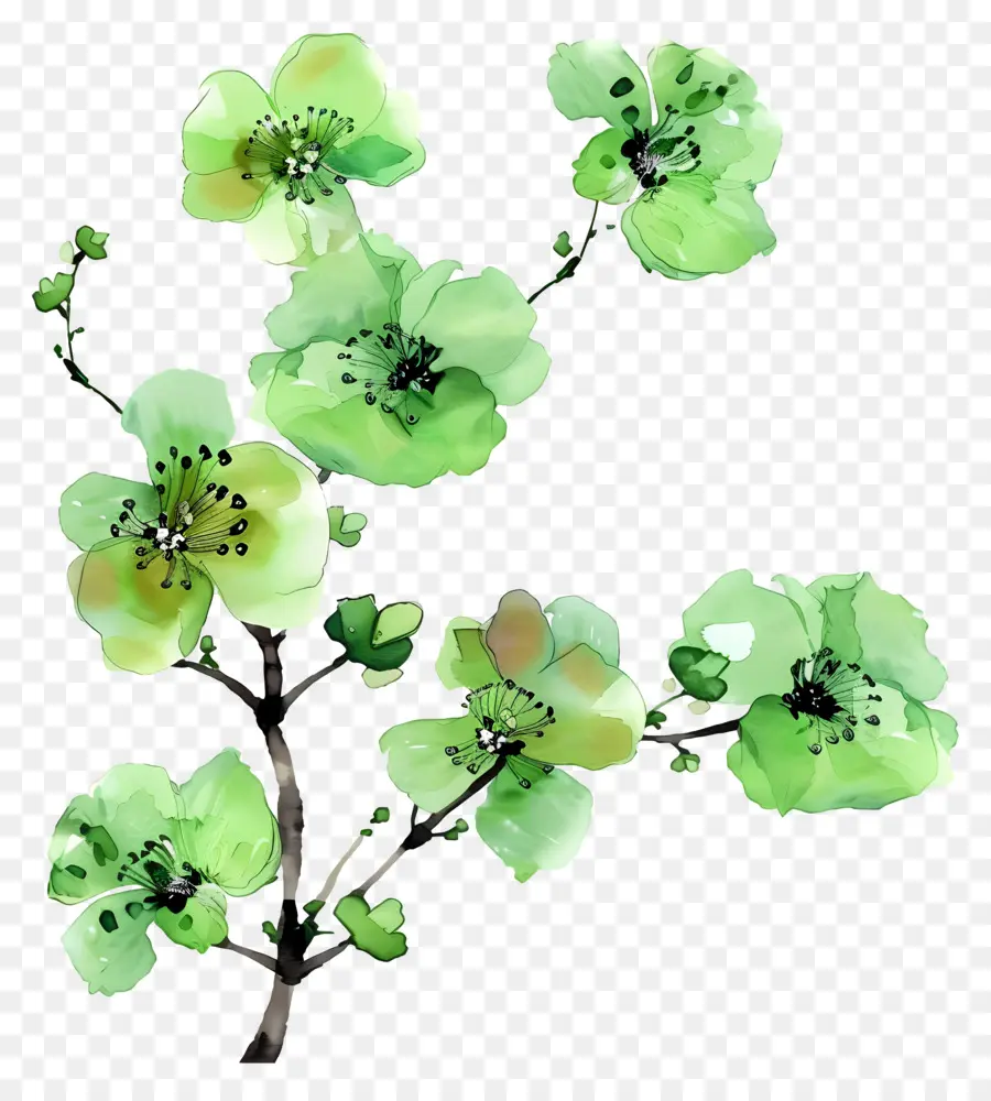 Fleurs Vertes，Fleurir PNG