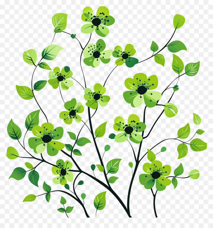 Fleurs Vertes，Feuilles PNG