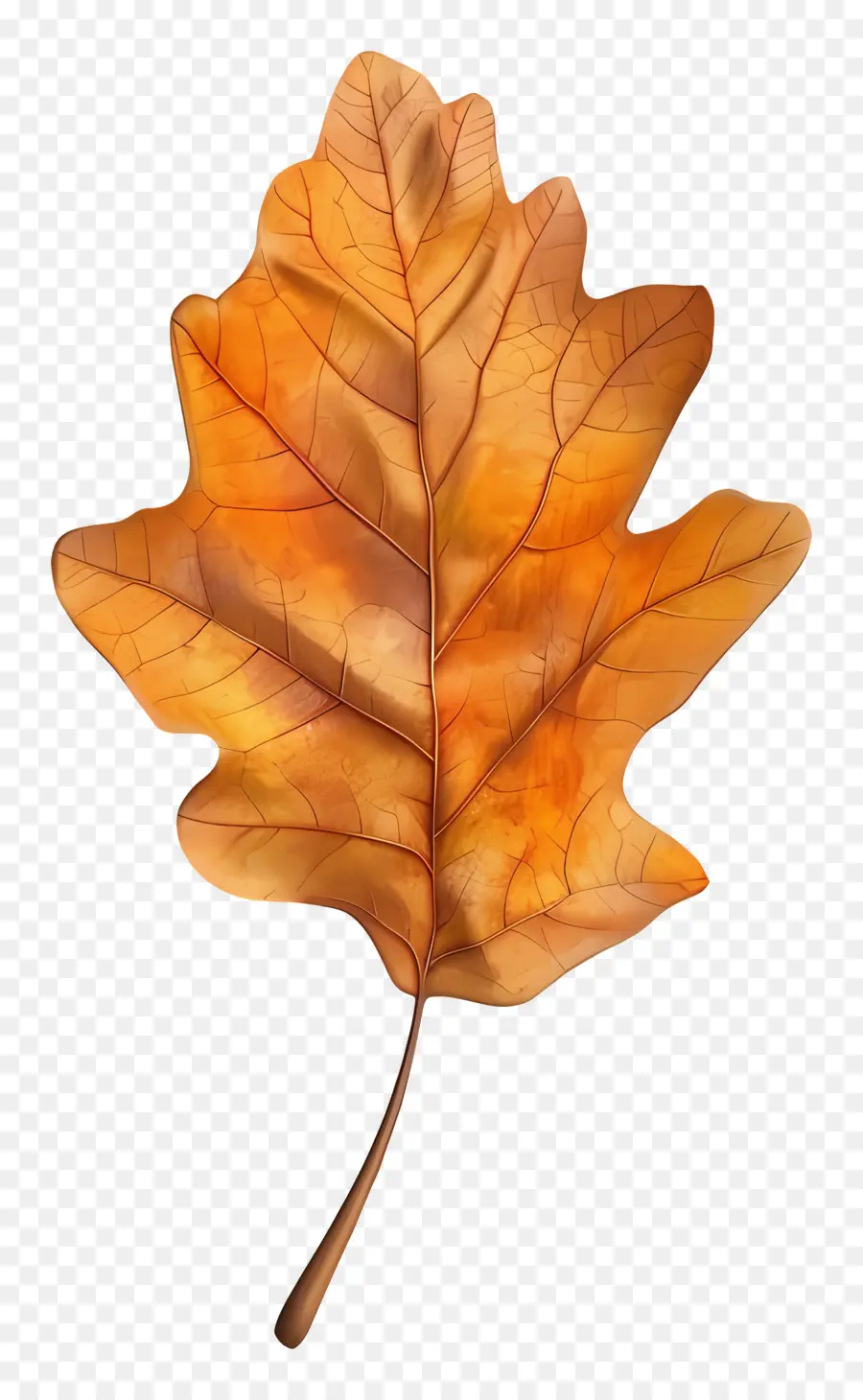 Feuille Morte，Feuille D'automne PNG