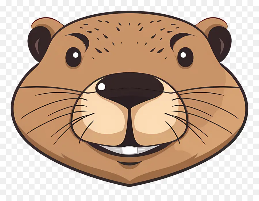 Visage De Castor，Loutre PNG