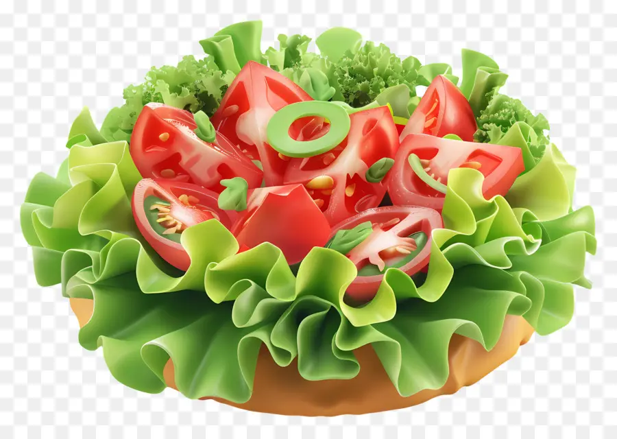 Salade Fraîche，Salade PNG