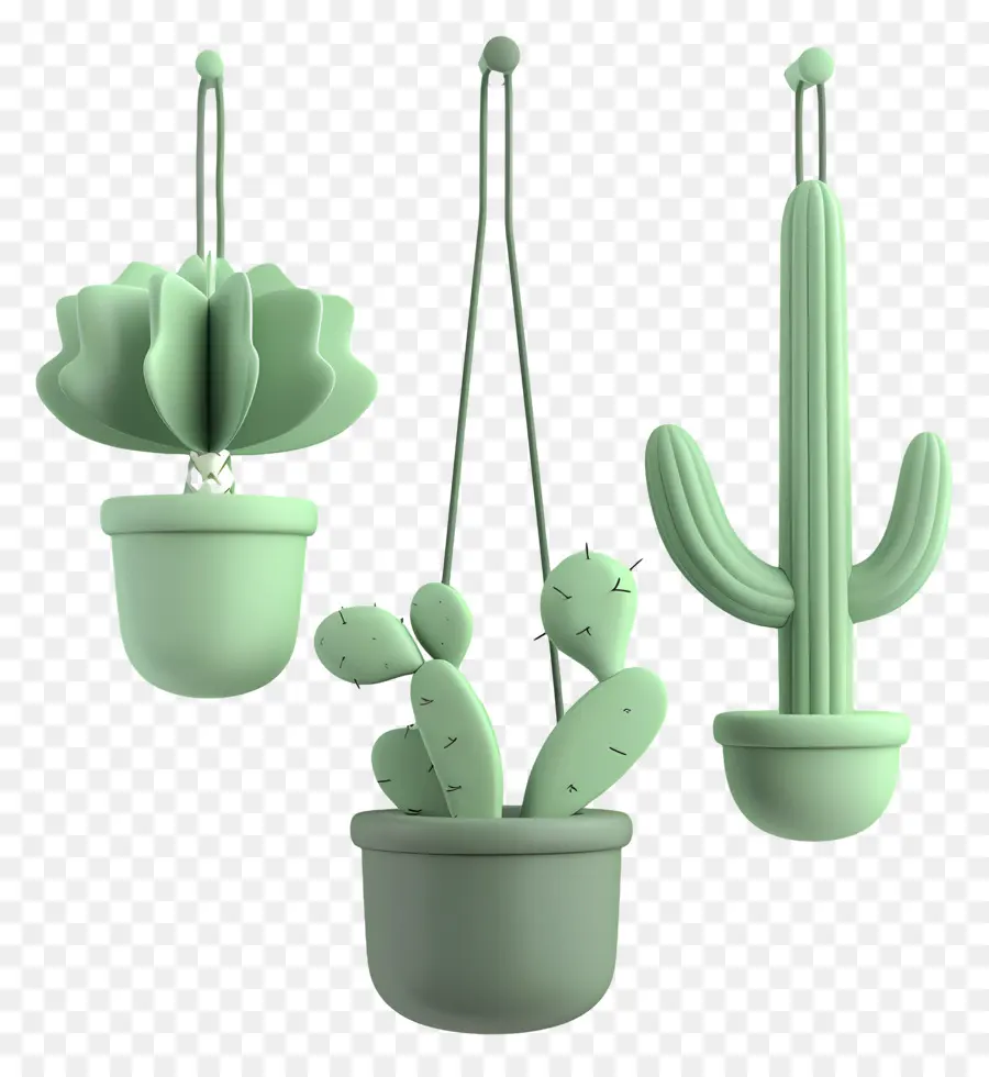 Cactus Suspendus，Plantes Suspendues PNG