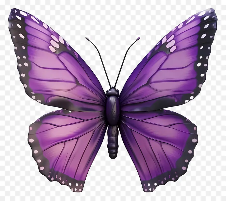 Papillon Violet，Ailes PNG