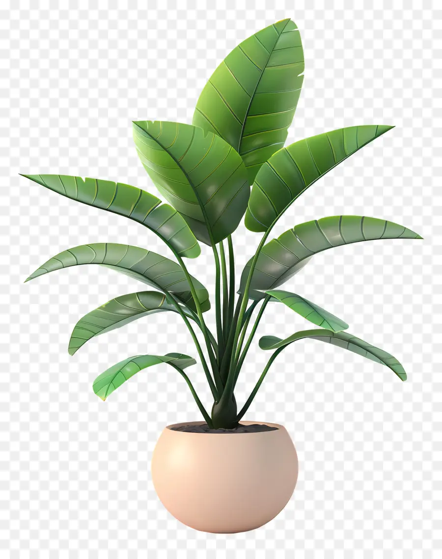 Plante Tropicale En Pot，Plante Verte En Pot PNG