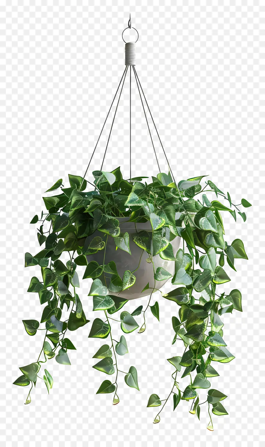 Plante Suspendue，Feuilles Vertes PNG