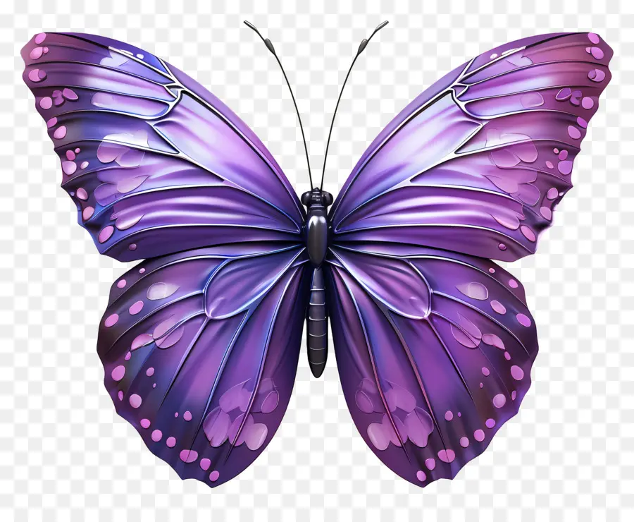 Papillon Violet，Papillon PNG