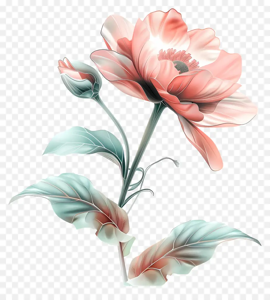 Fleur Pastel，Fleur PNG