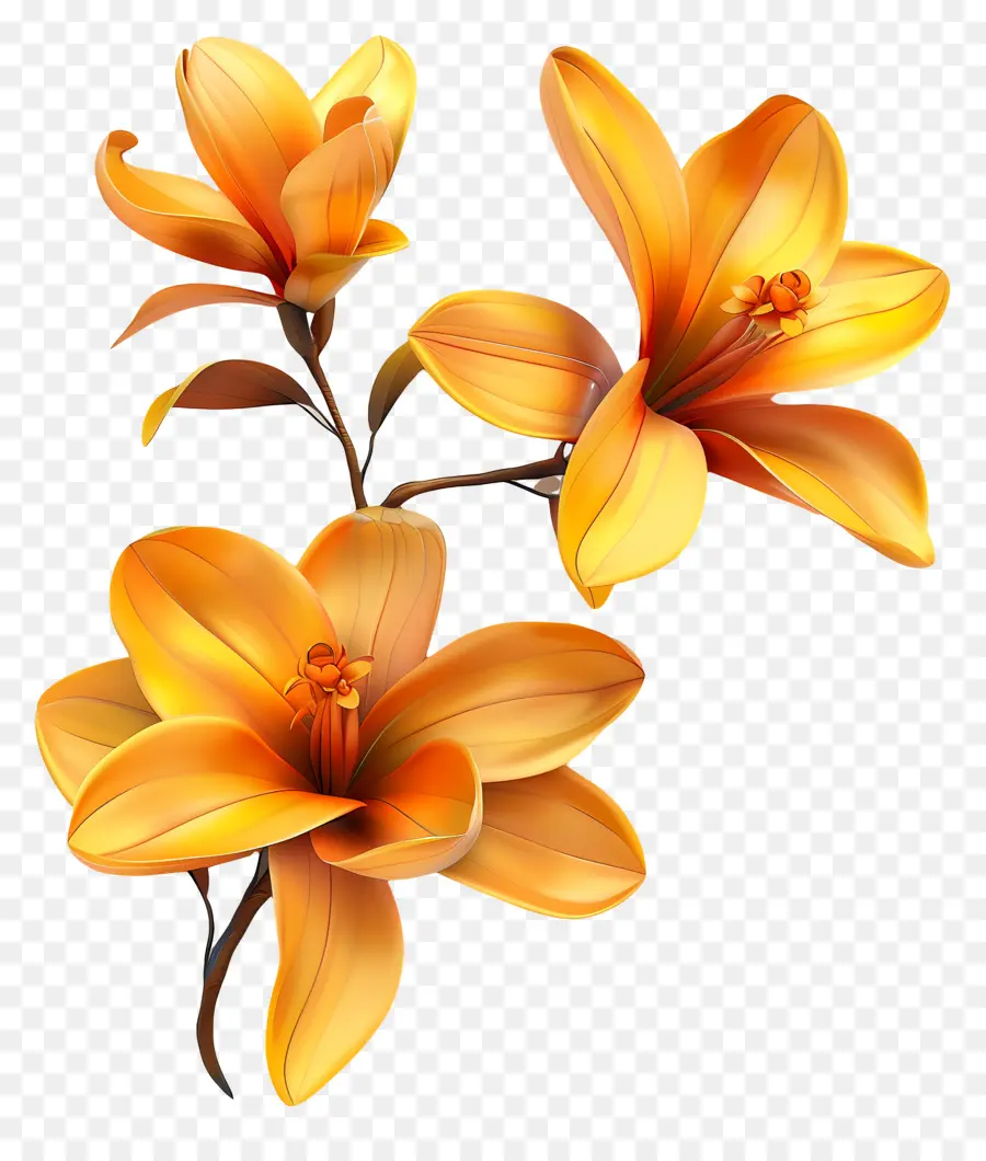 Fleurs De Safran，Fleurs PNG