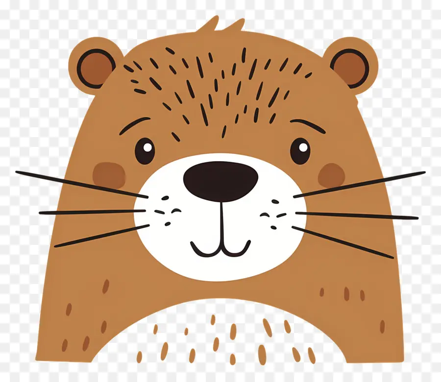 Visage De Castor，Loutre Mignonne PNG