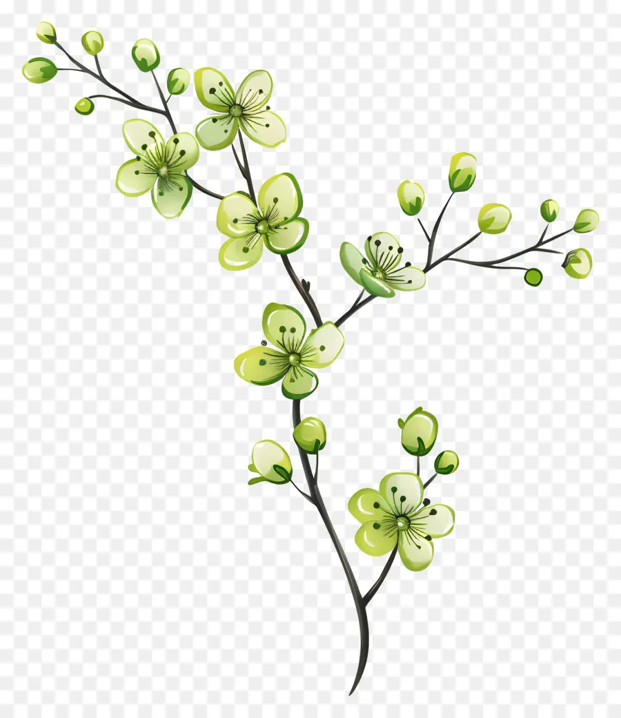 Fleur Verte，Fleurs Vertes PNG