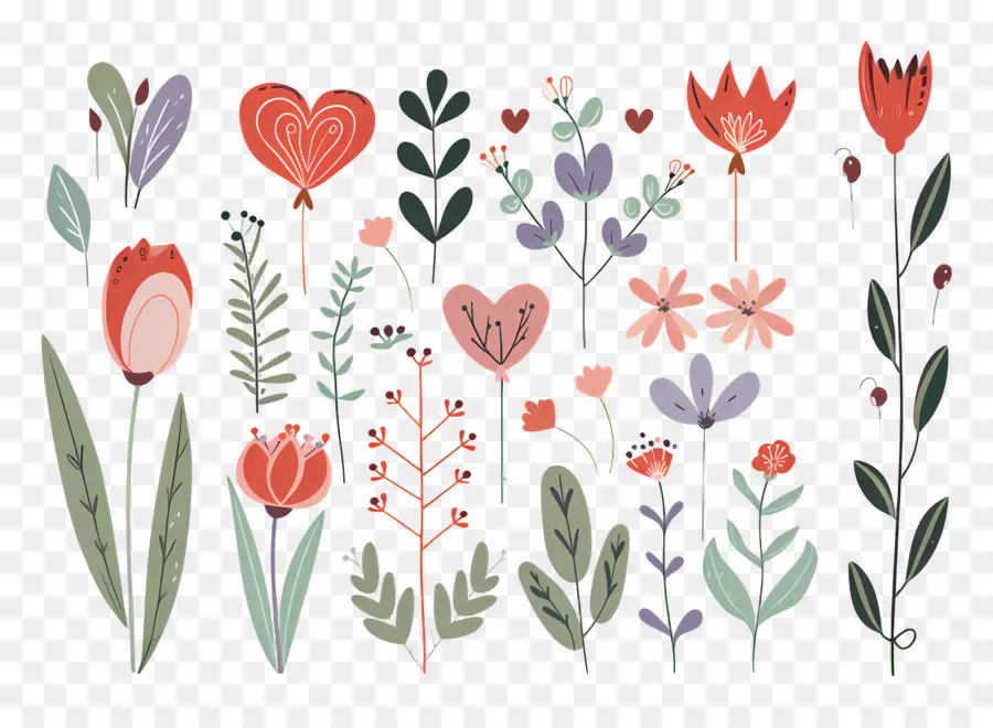 Fleurs Et Plantes，Illustrations Florales PNG