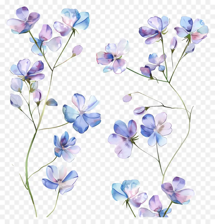 Petites Fleurs，Fleurs Colorées PNG