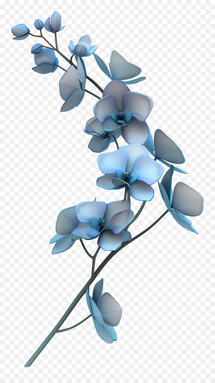 Orchidée Bleue，Fleurs Bleues PNG