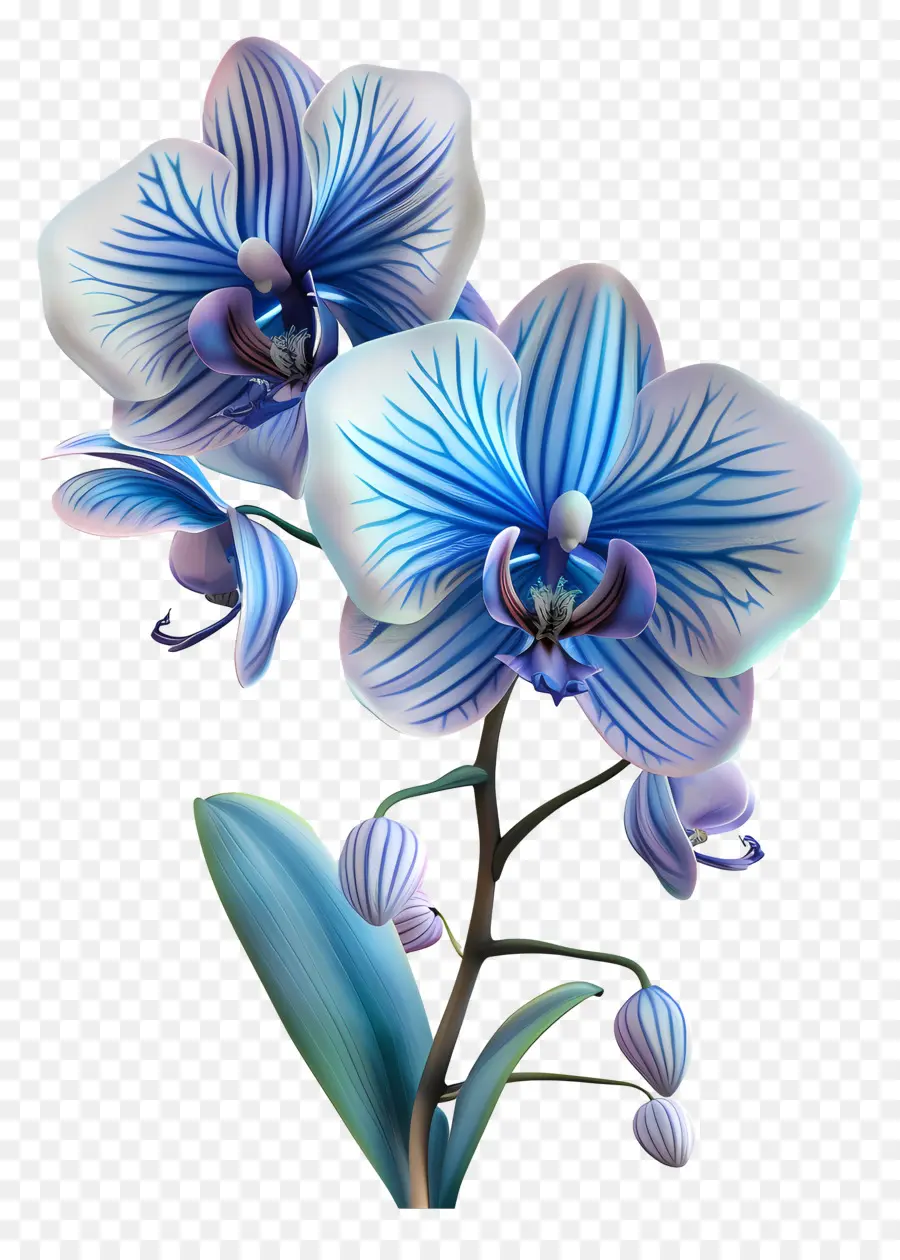 Orchidée Bleue，Pétales PNG