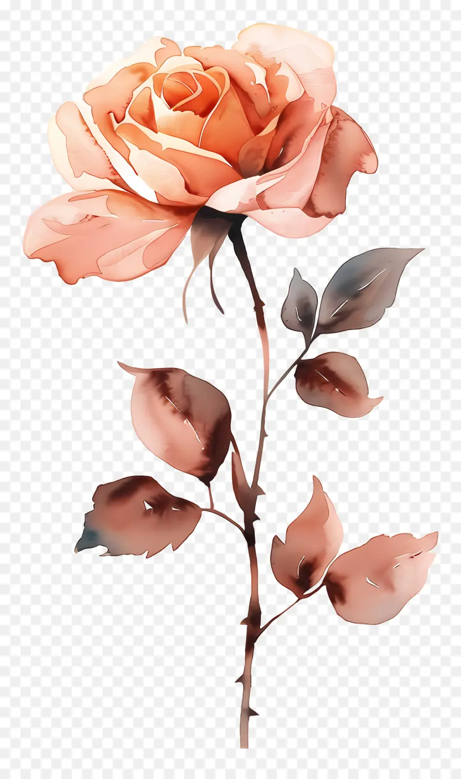 Fleur De Rose，Fleur Rouge PNG