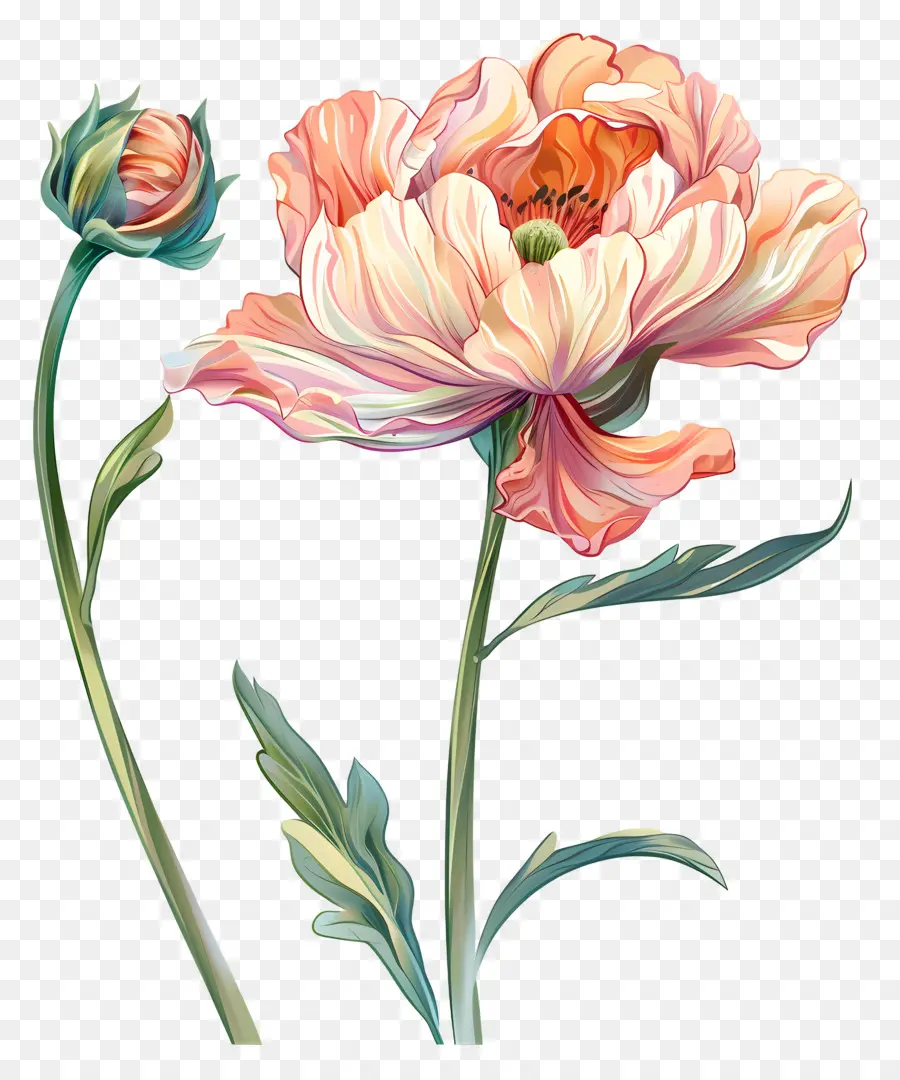 Fleurs Pastel，Fleur PNG