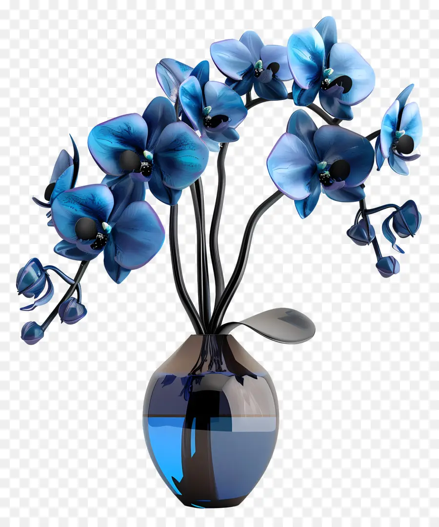 Orchidée Bleue，Orchidées Bleues PNG