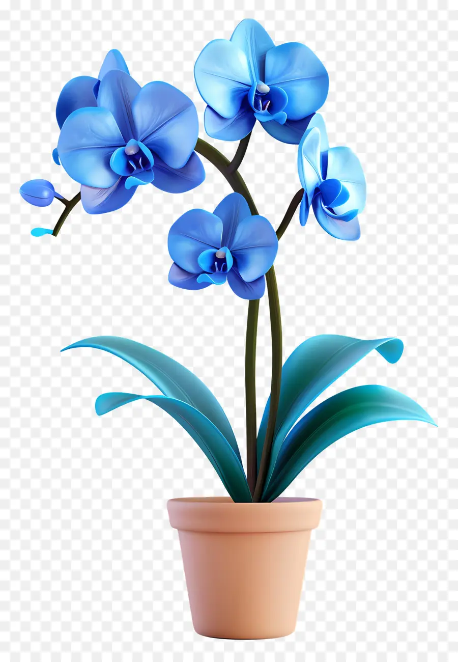 Orchidée Bleue，Orchidée En Pot PNG