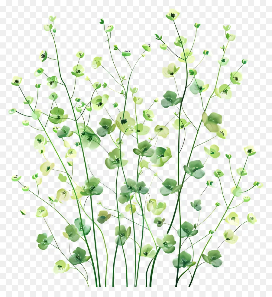 Fleur Verte，Fleurs PNG