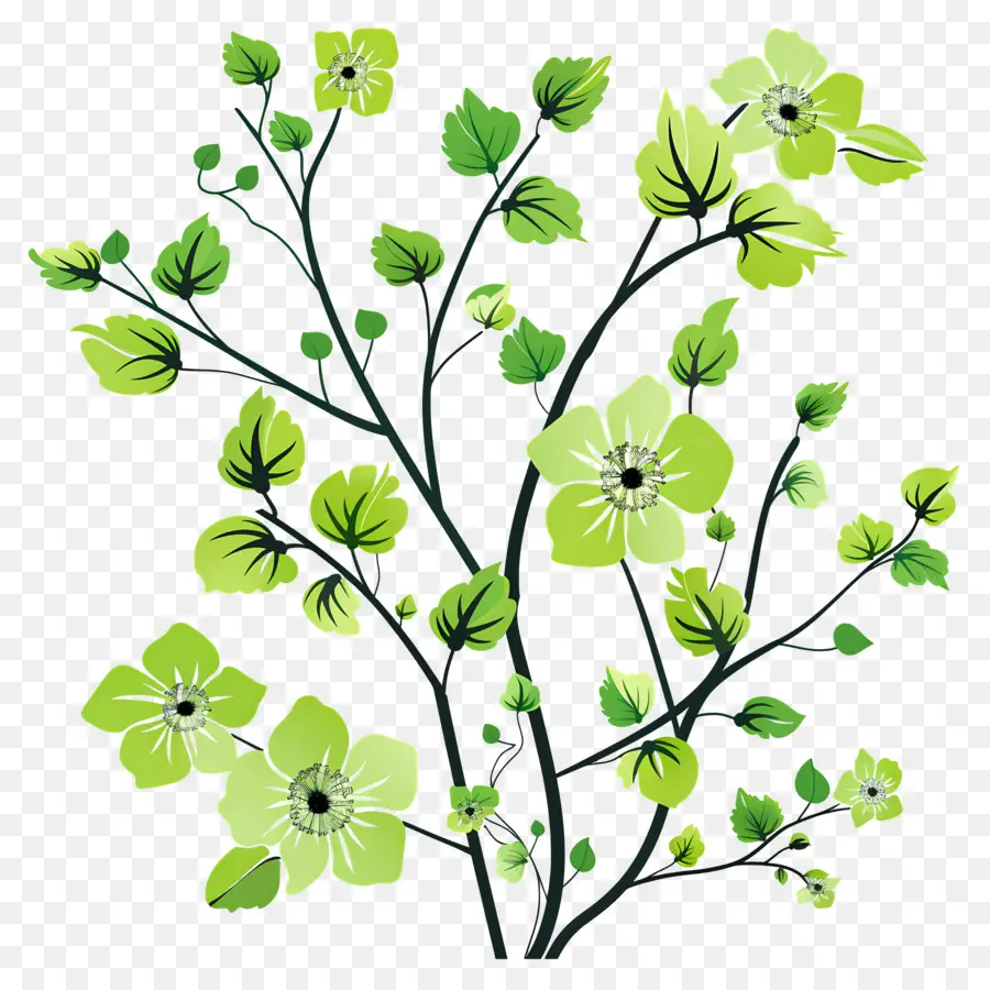 Fleur Verte，Fleurs Vertes PNG