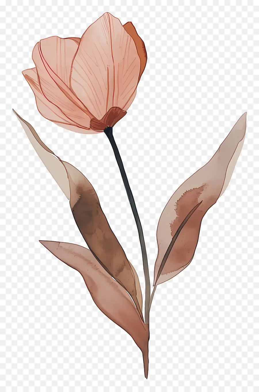 Tulipe，Fleur PNG