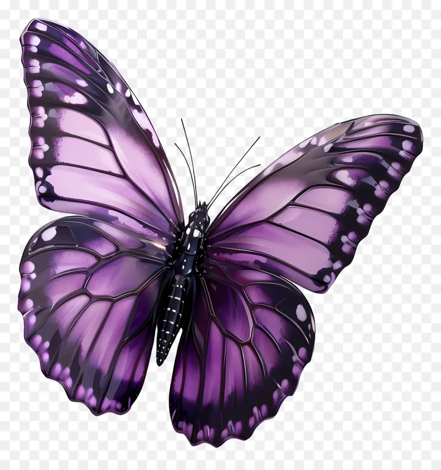 Papillon Violet，Papillon Rose PNG