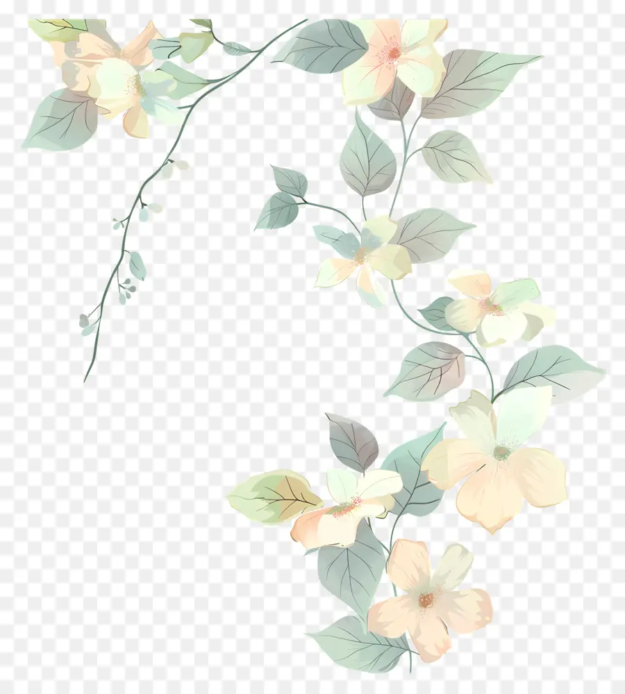 Fleurs Pastel，Conception Florale PNG