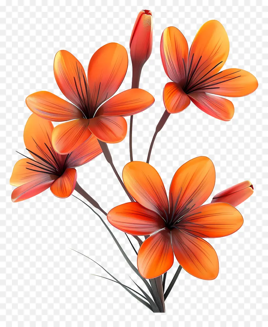 Fleurs De Safran，Fleurs Oranges PNG