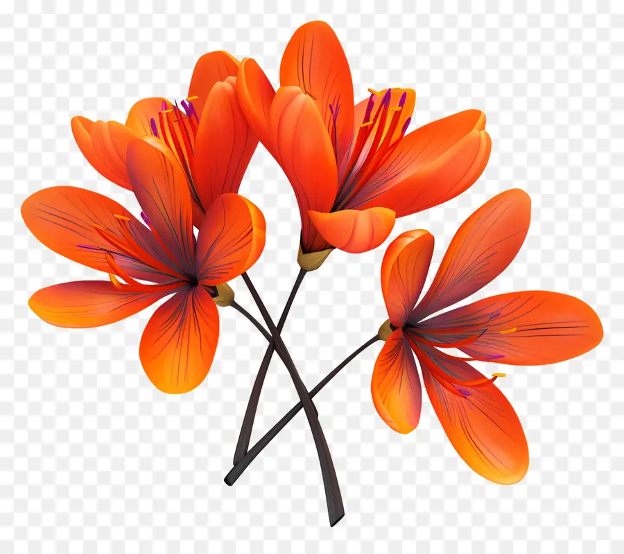 Fleurs De Safran，Fleurs Oranges PNG