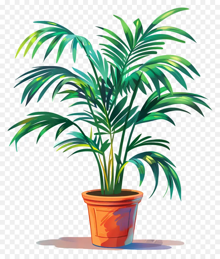 Palmier De Salon，Plante Verte En Pot PNG